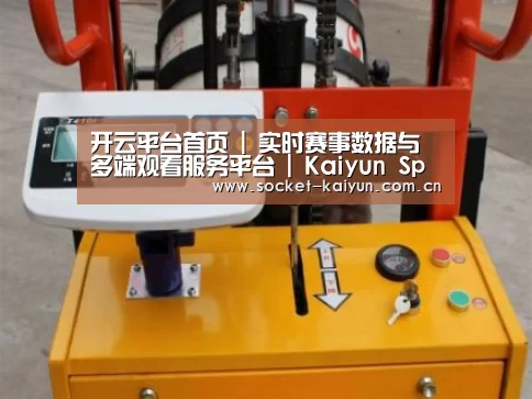 开云案例展示三