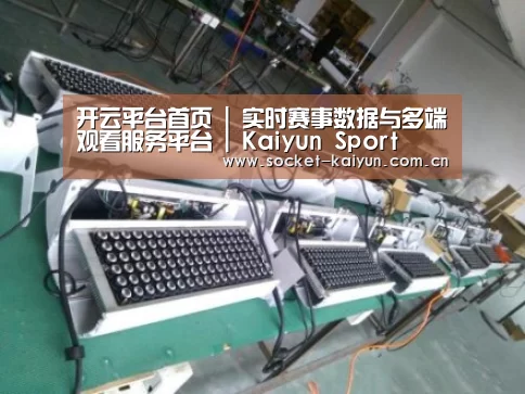 开云案例展示一