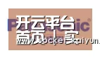 开云合作伙伴四