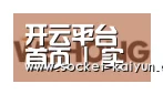 开云合作伙伴三