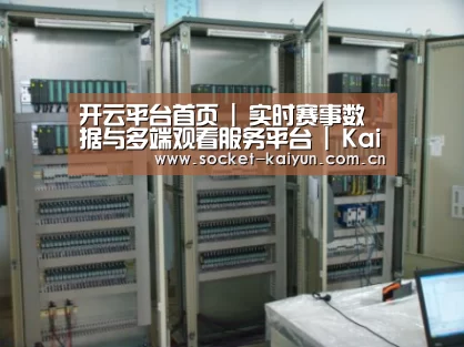 开云案例展示五(图1)