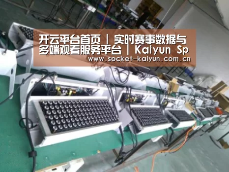 开云案例展示一(图1)
