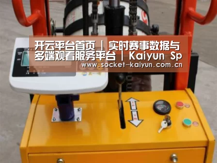 开云案例展示三(图1)