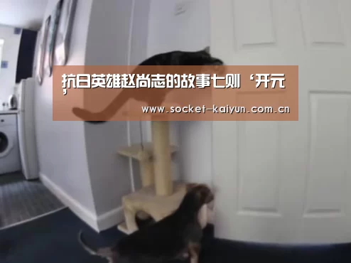 开元棋牌官网