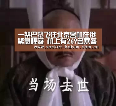 一架巴黎飞往北京客机在俄紧急降落 机上有269名乘客‘开元棋牌官网’(图2) 开元棋牌官网