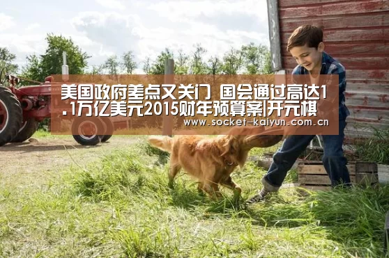 美国政府差点又关门 国会通过高达1.1万亿美元2015财年预算案|开元棋牌(图2) 开云